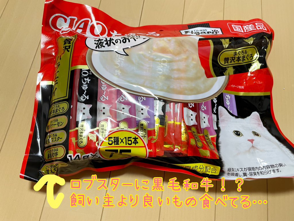 茶々丸๑꒰ o̴̶̷᷄ ·̭ o̴̶̷᷅ ꒱๑ tweet media