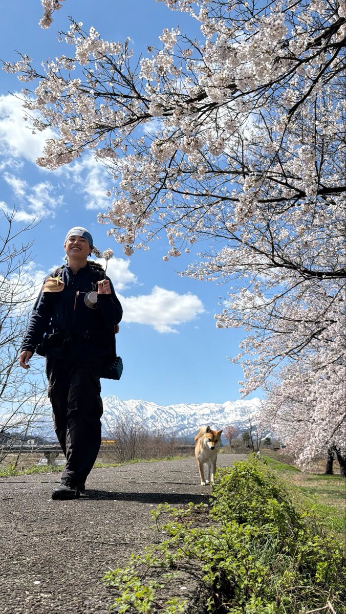 <a href="/BillyM2k/">Shibetoshi Nakamoto</a> Taking San-Chan and walking across Japan 🐕 🚶 🇯🇵