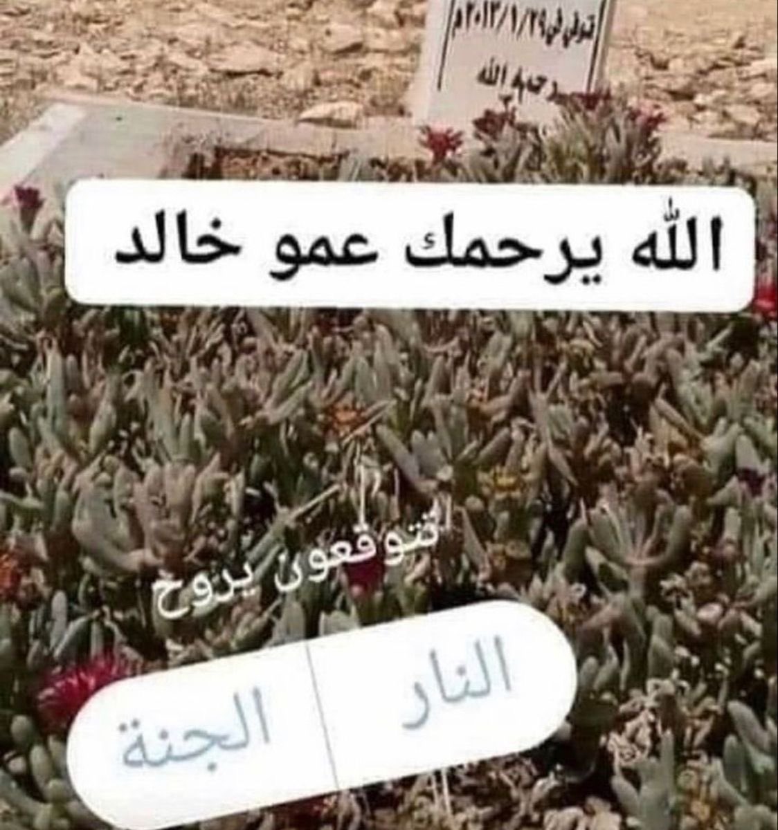dyan | استغفرالله tweet media