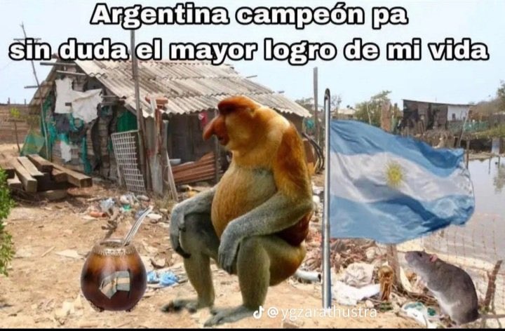 Doma Argentinos🇬🇧🇺🇸🇲🇽🇦🇶🇨🇱🇧🇷🇺🇾🫸🇦🇷 tweet media