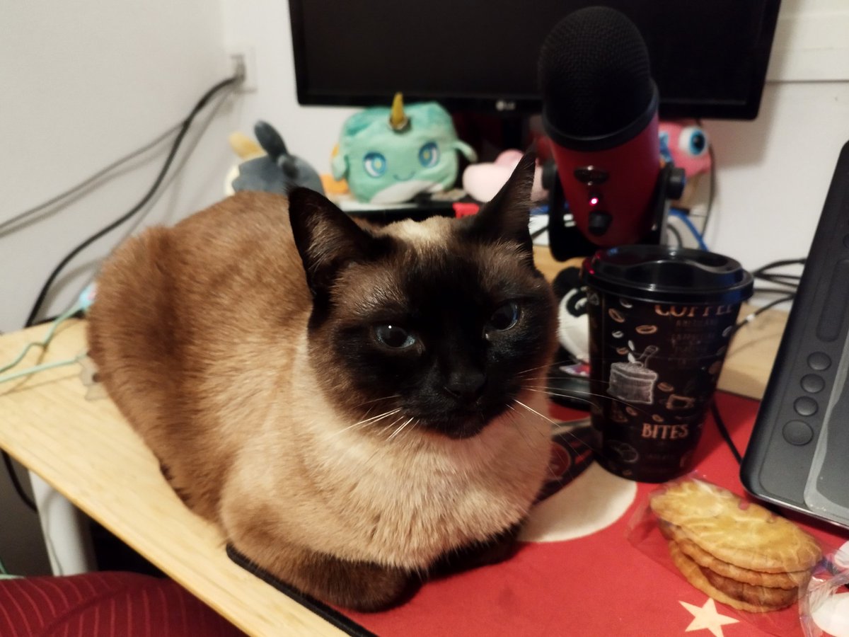 Marshall0w0's tweet photo. Noche dibujo

Gafe, galletitas de dinosaurio y Princesa dando apoyo emocional :3 https://t.co/dxivnsYMez
