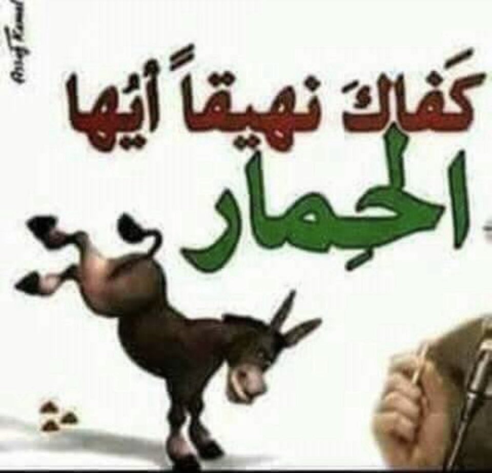 mahmood darweesh tweet media
