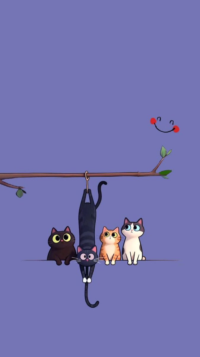 Yelis 🐾 tweet media