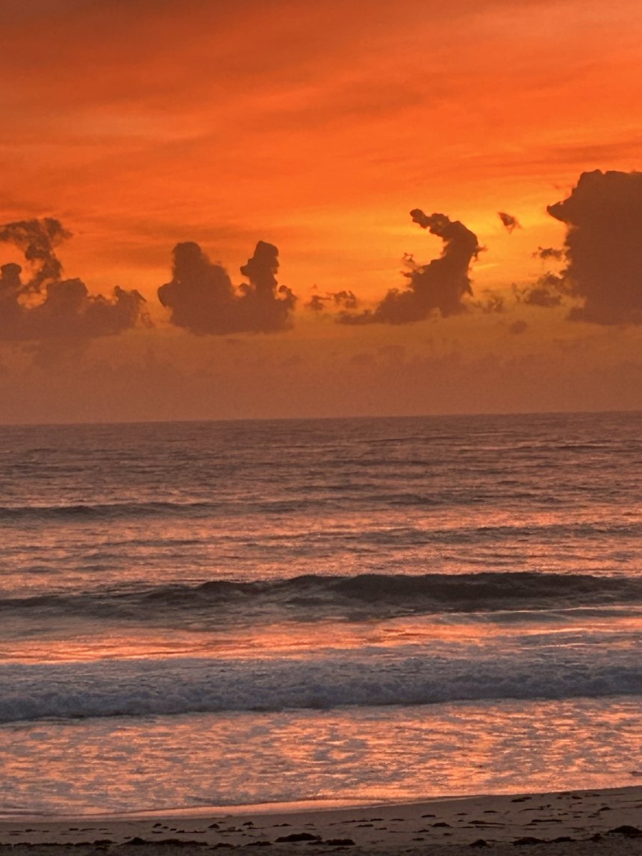 TonySearl's tweet image. Good Morning Sunday ☕️👣
#barringtoncoast #nature #ocean 
Life, Long Learning. 🤣💕🙏 True Nature. 
antarmauna1111.blogspot.com/2026/04/contem…