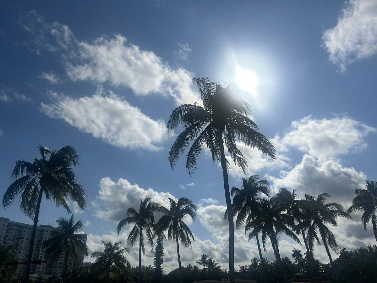 silviamogas.onchain 📍Consensus Miami 🇺🇸 tweet media