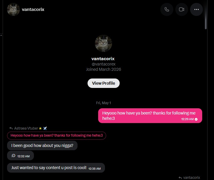Astraea Vtuber🌟✈️ tweet media