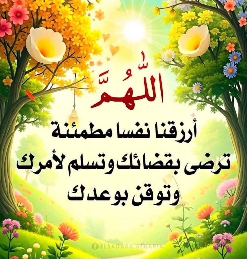 أبن الفيحاء(مدينتي) tweet media