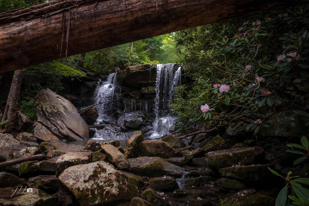 WV State Parks tweet media