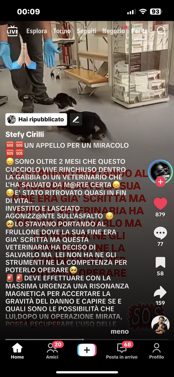 annamariamoscar's tweet photo. 🆘Chi può aiuti, non fatelo per me, ma per un cuoricino sfortunato, basta poco. Io purtroppo non posso e chiedo scusa 🆘 https://t.co/5FlL5u7pVi