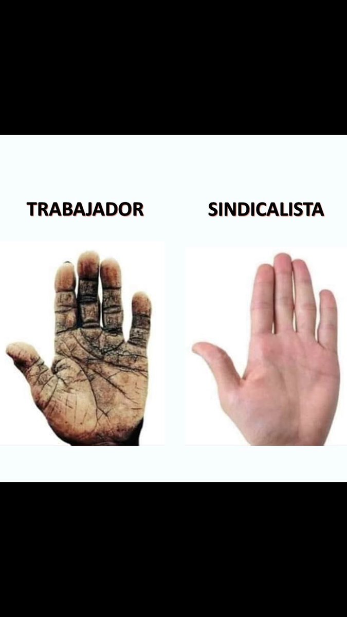 BenavidesMunoz's tweet photo. @capimemecl Zurdo Hediondos Malos para la Pala, La ducha y el Catre https://t.co/sbfJwIUGdX