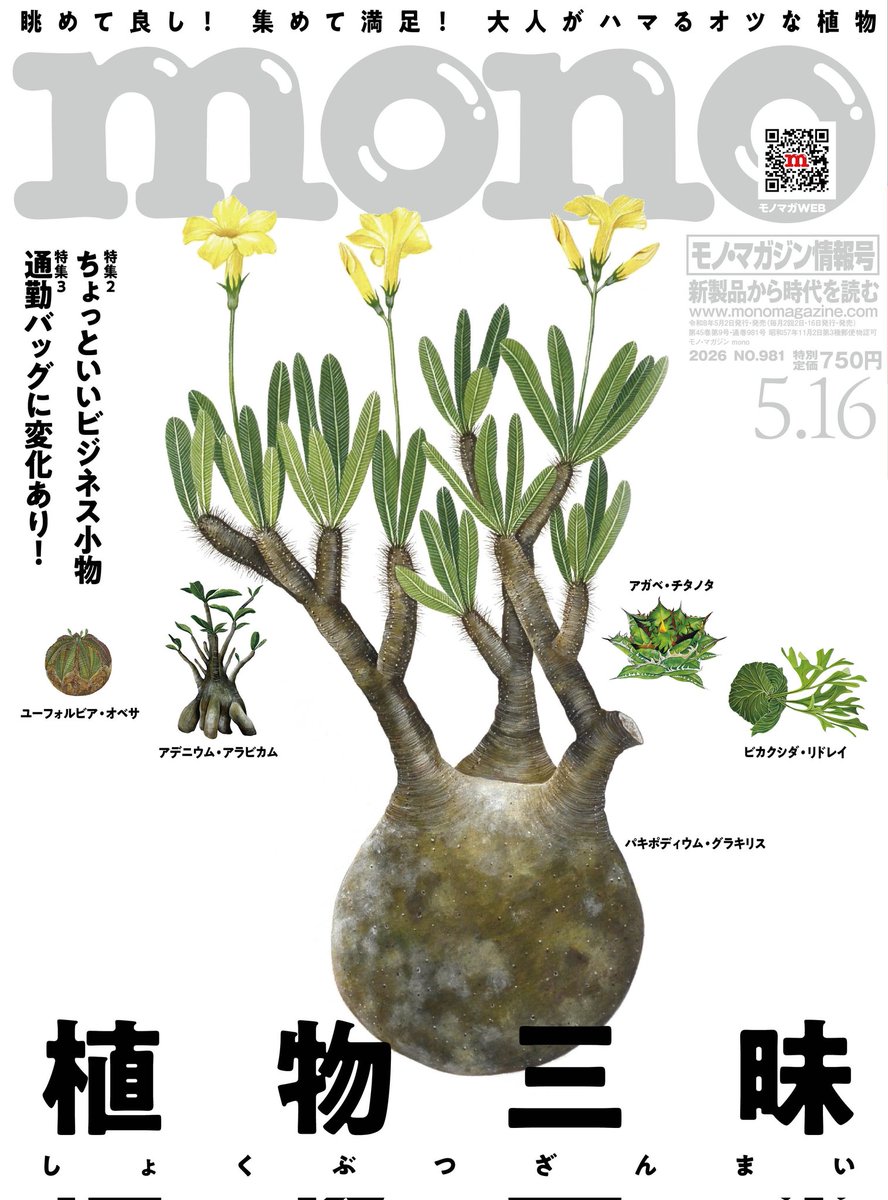 いわさわ tweet media