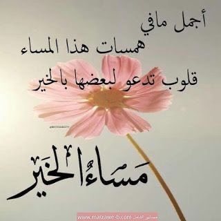 bent_aljazeera's tweet photo. مساء الخير https://t.co/O1xcpcTiIq