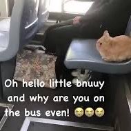 hyukaful 👩‍❤️‍💋‍👩 tweet media