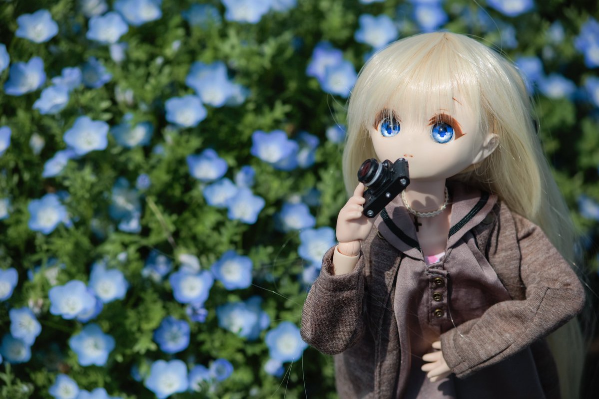 カツサン卜゛ tweet media