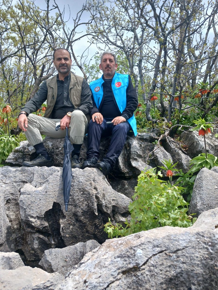 ekutder's tweet photo. Bugün Arıcak’ta gerçekleştirdiğimiz doğa yürüyüşünde, eşsiz güzellikleri yerinde görme fırsatı bulduk. 🌿
İsmail Cengiz Başkanımızın öncülüğünde EKUT ekibimizle birlikte hem doğayı keşfettik hem de ters lale gibi değerlerimizin korunmasının önemine dikkat çektik. EKUT https://t.co/BDyxvir8qE