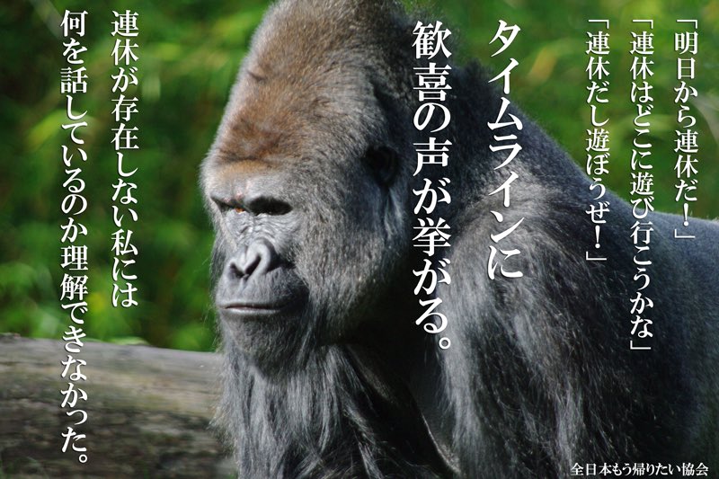 八光 tweet media