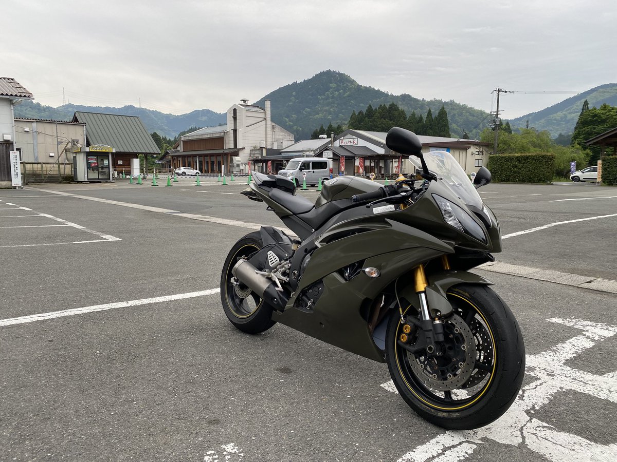 朝駆け美山