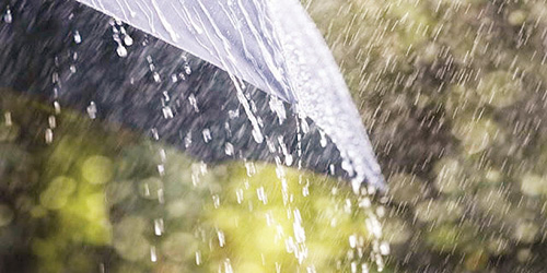 alrshed's tweet photo. "حبّات رملٍ فوق جبهة مصلّي.." ✨🌧️

وصفٌ يفوق الخيال ، وتصويرٌ يجمع بين جمال المطر وطمأنينة الصلاة.

من إبداع الشاعر رشيد الدهام:

هلّ المطر عصريّةٍ  في  طرف ليل
طاري  نكـدها  من  سعَـدها  موّلي

كـأن  قطـراتـه  عـلى  راكـد  السيـل
حبـّـات  رملٍ  فـوق  جبهـة  مصلّي

#شعر #رشيد_الدهام #وصف #مطر #جزالة