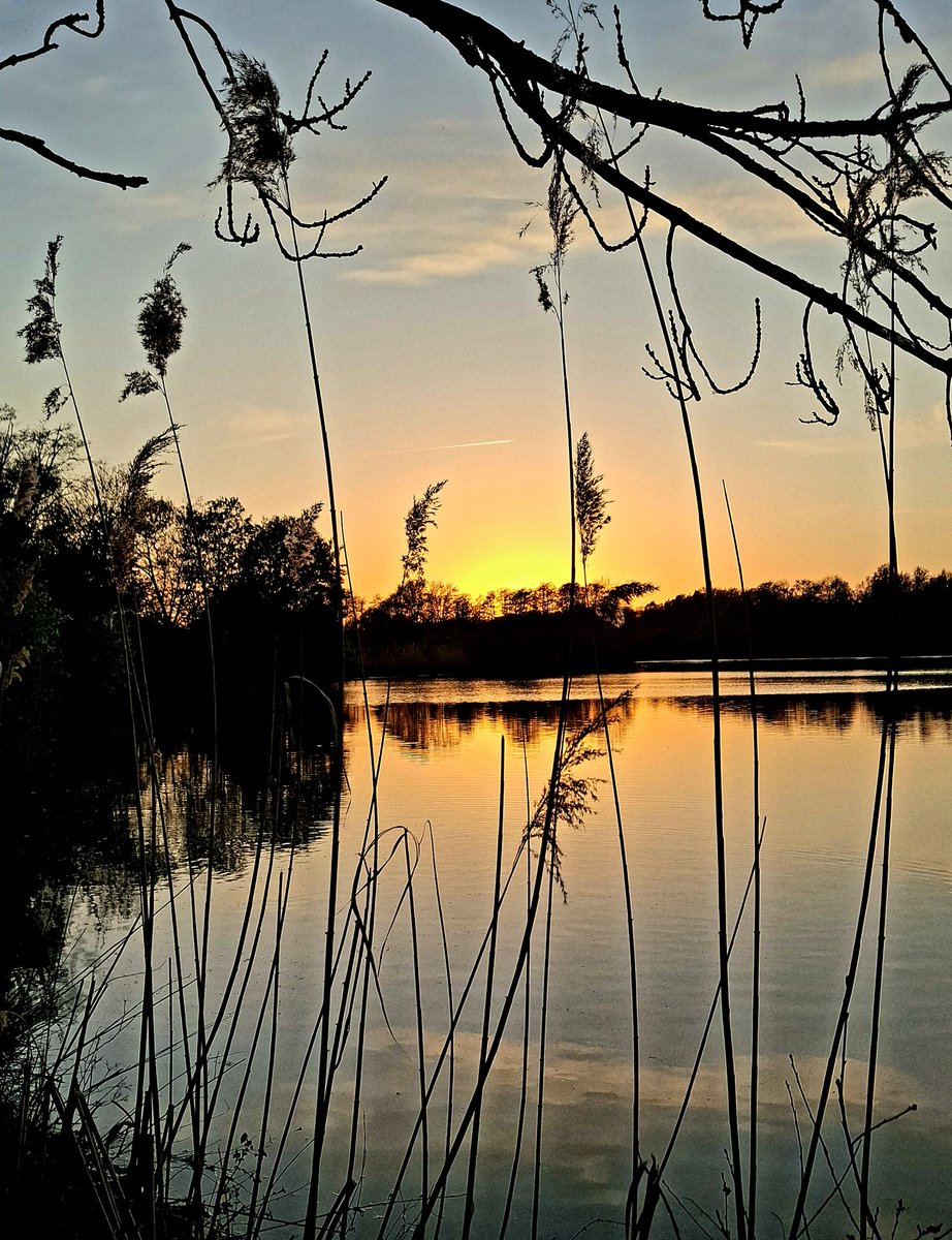 chriz31_07's tweet image. 🌙Night Thoughts

The night becomes quiet enough
for thoughts
to slow down gently.

Nothing needs to be solved now.
Some things simply
find their place with time.

And somewhere ahead,
something good
is already beginning.

Tomorrow..

#night #thoughtful #calm

Gute Nacht ✨