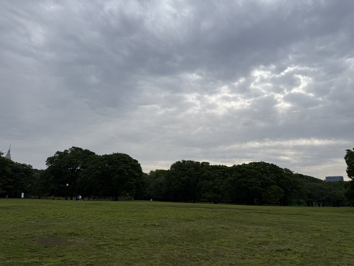 おはようございます