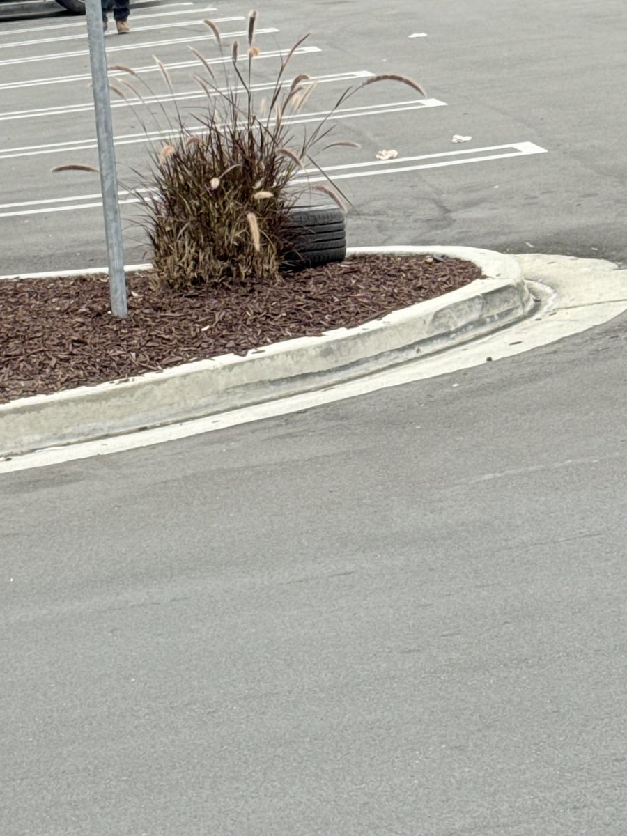 ZaddyTvned's tweet photo. @POKESTREETZ Ghost tires is diabolical 🫠 https://t.co/02HnoQ2x70