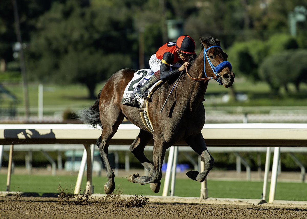 Cali_Hillbilly's tweet image. Pulling hard for So Happy
152nd Kentucky Derby! 🏇🌹
Santa Anita winner to Churchill Downs under Mike Smith. Trainer Mark Glatt’s first Derby after heartbreak— horse is living up to the name. Bring the roses home!
Who else is on Team So Happy? #KYDerby #SoHappy #RunForTheRoses