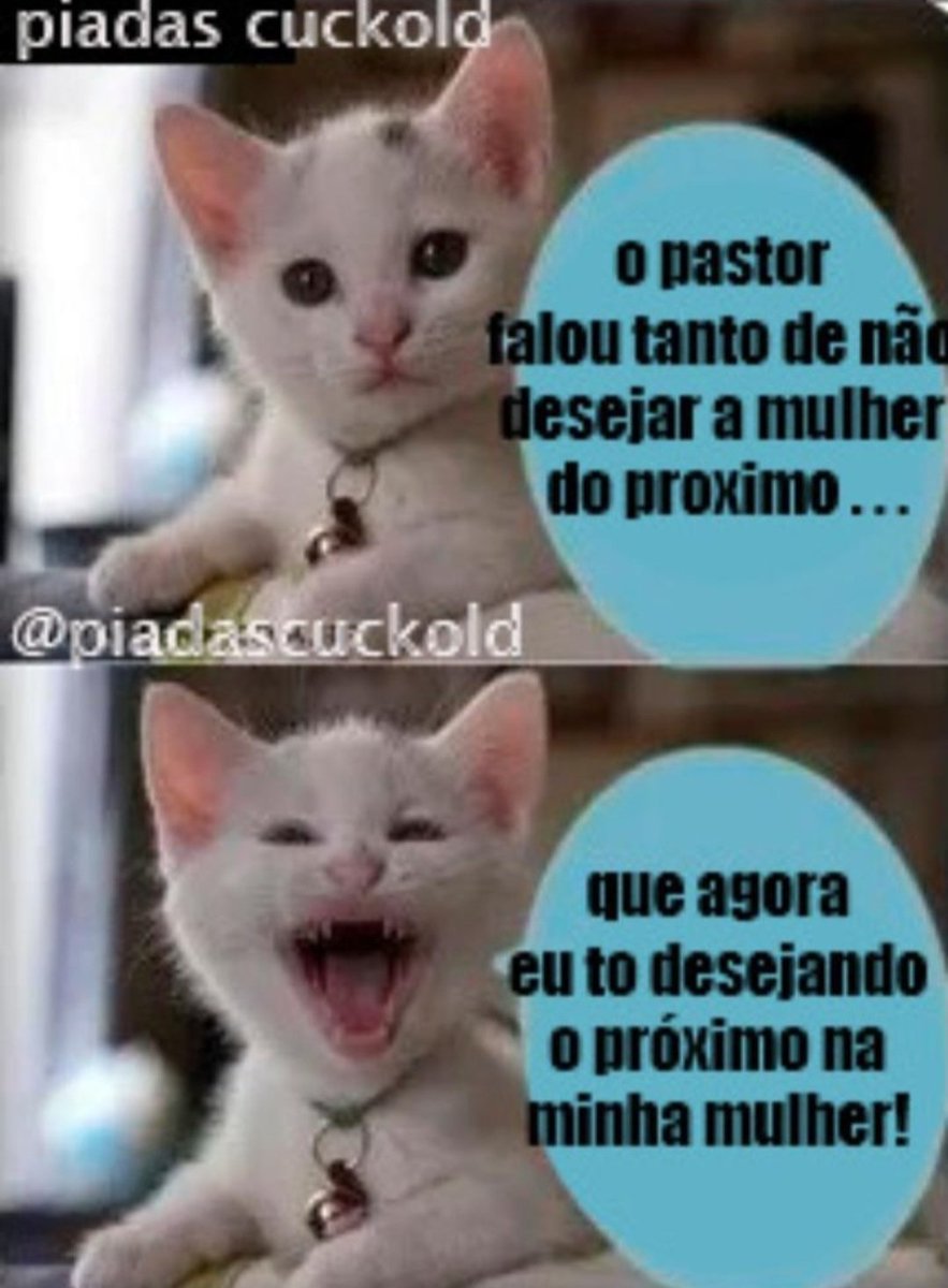 malu tweet media