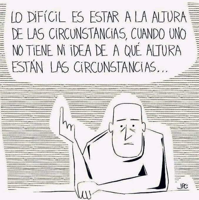 Anibal Litvin tweet media
