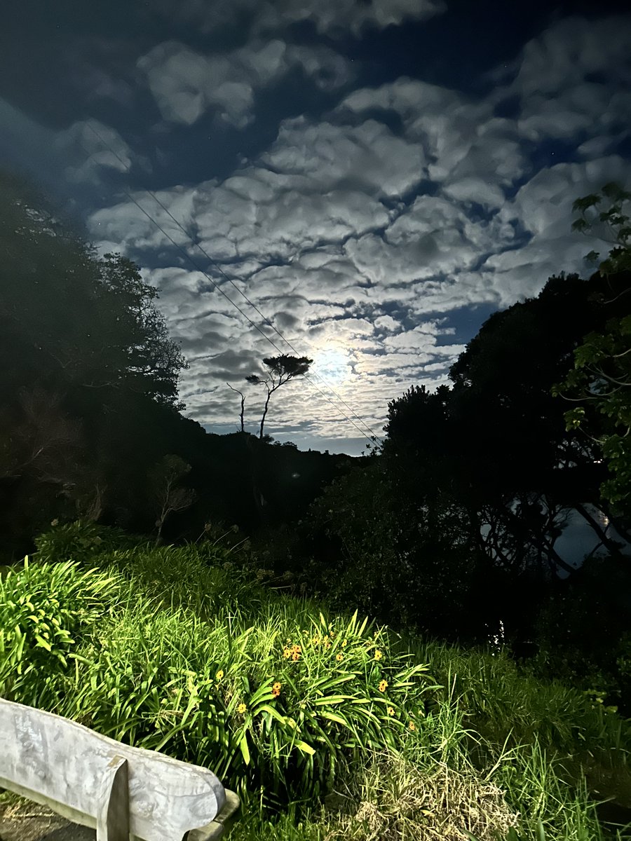 Last night’s Full Moon ⁦<a href="/WaihekeArtGal/">Waiheke Art Gallery</a>⁩