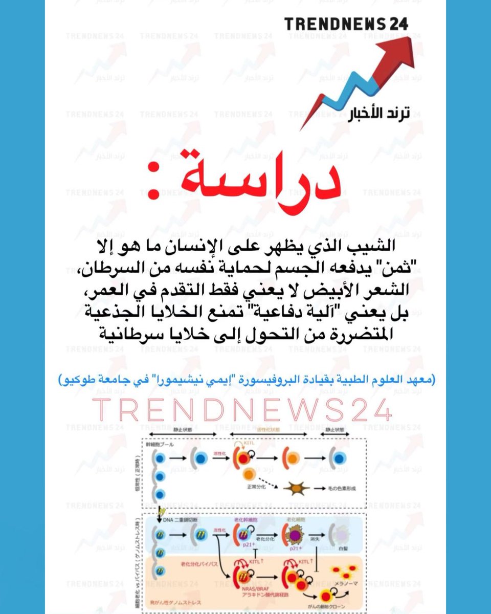 🇸🇦❤️ tweet media