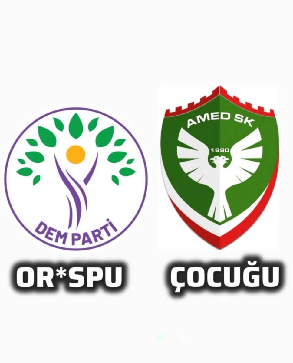 Mustafa_doganbey tweet media