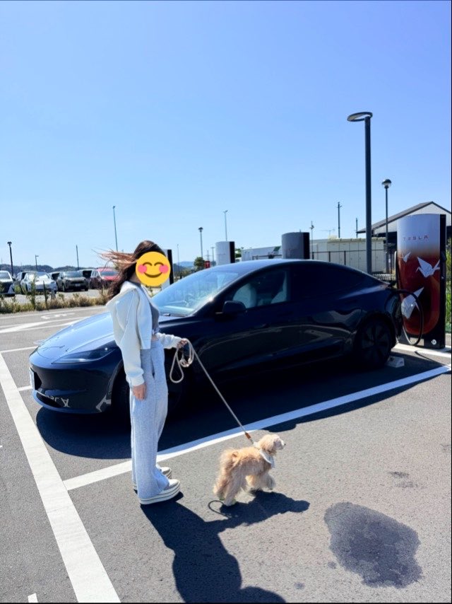 テスライム / Tesla & lime tweet media