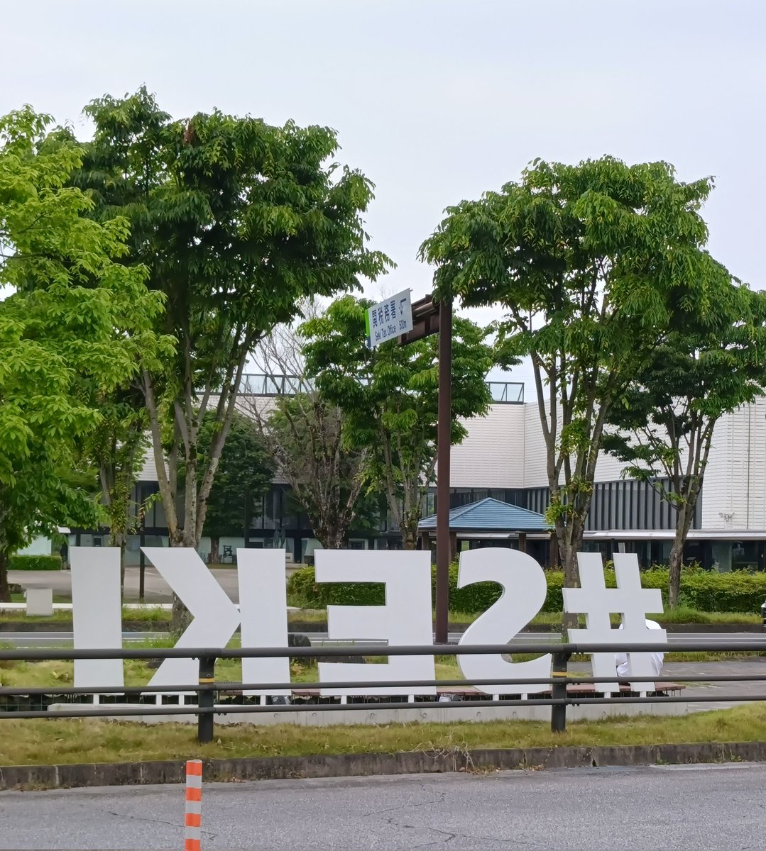 たけのこ tweet media