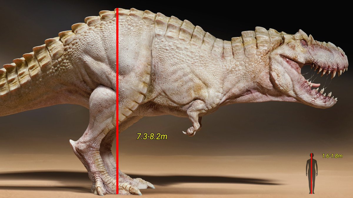 Jurassic Comp tweet media