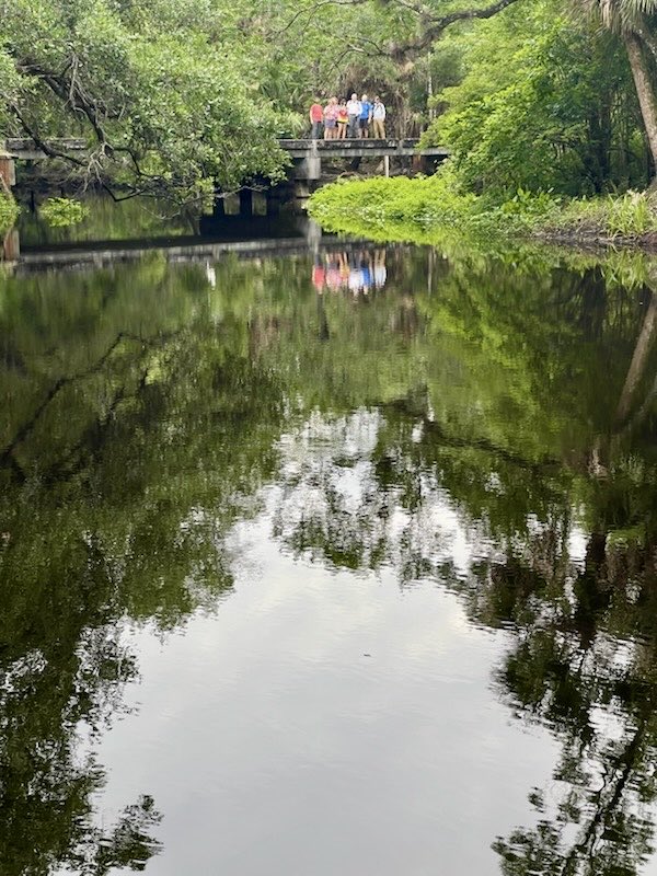 dolbyl's tweet image. “Wilderness is not a luxury but necessity of the human spirit.” –Edward Abbey 🥾
 #optoutside #getoutside #nature #NaturePhotography #lovefl #hikefl #hikeflorida #floridatrails #trailslikethese