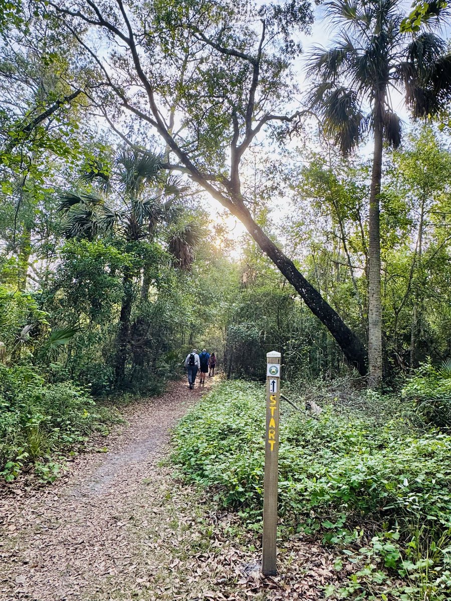 dolbyl's tweet image. “Wilderness is not a luxury but necessity of the human spirit.” –Edward Abbey 🥾
 #optoutside #getoutside #nature #NaturePhotography #lovefl #hikefl #hikeflorida #floridatrails #trailslikethese