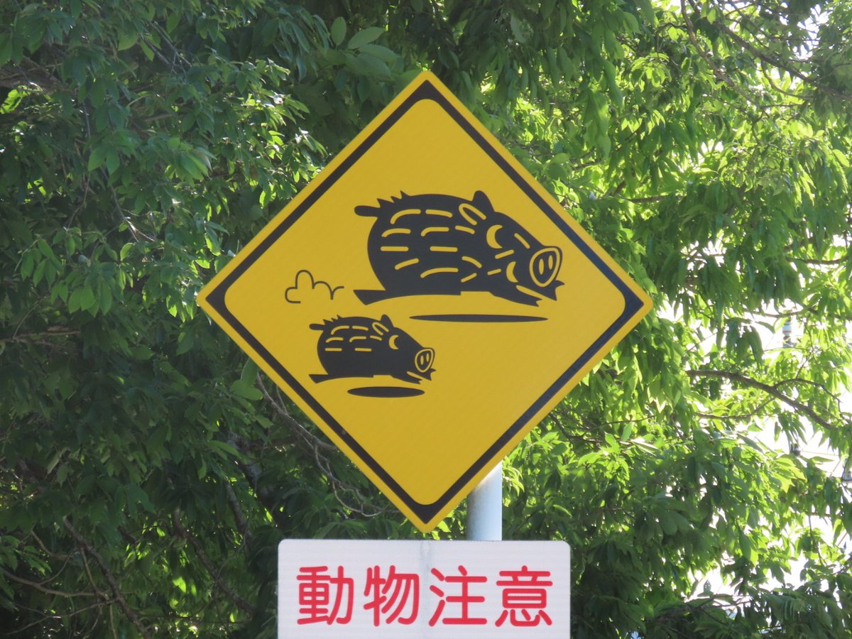 よもぞう tweet media