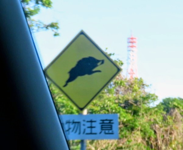 よもぞう tweet media