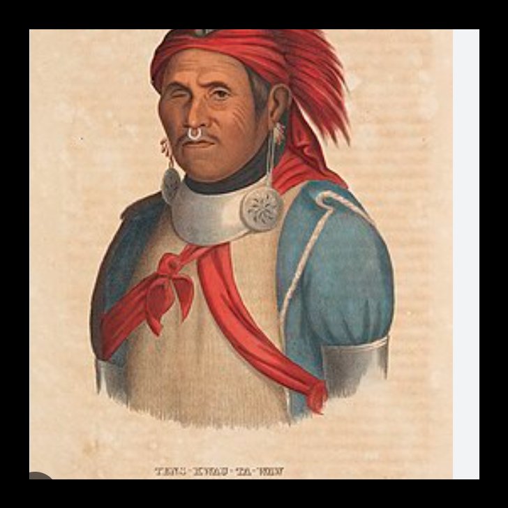 Chrisjgl61's tweet photo. @histories_arch Tenskwatawa, brother of Tecumseh, predicted it in a vision he saw a few years earlier. https://t.co/HZivaRrlZ1