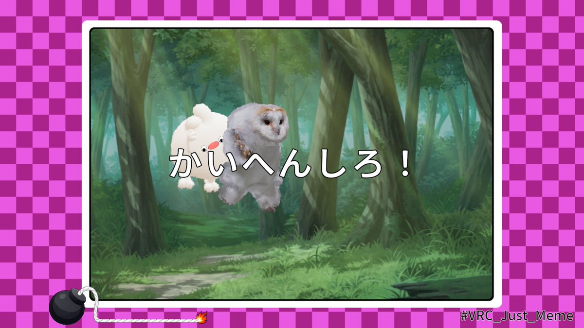 ししま！！ tweet media