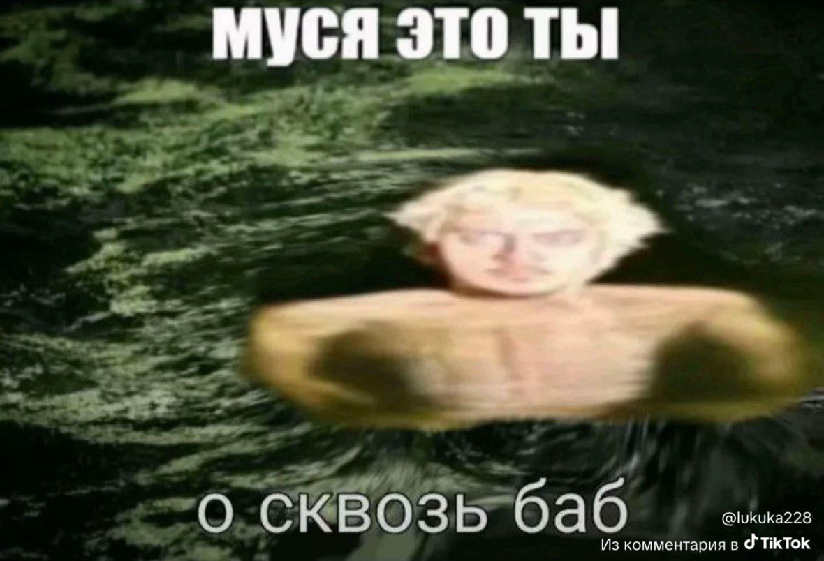 сука змеюка tweet media