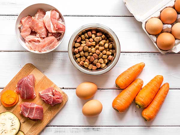 AussieShepLover's tweet image. Homemade Dog Food for Your Australian Shepherd 🐾💖🥩
australian-shepherd-lovers.com/homemade-dog-f…

🔶 Aussie Owner? Get our Official Guide to Aussie Training &amp;amp; Care here...
australian-shepherd-lovers.com/asl-ebook-fb

#australianshepherd #aussie #dogs #dogfood #aussielovers