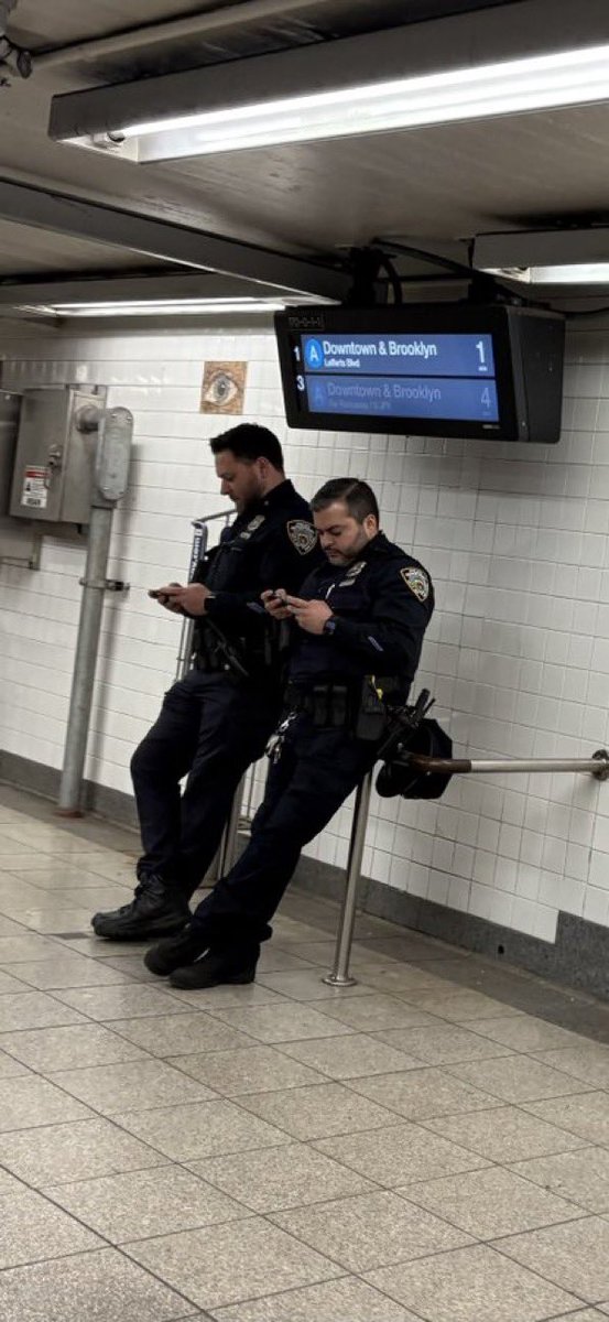 BrooklynP8triot tweet media