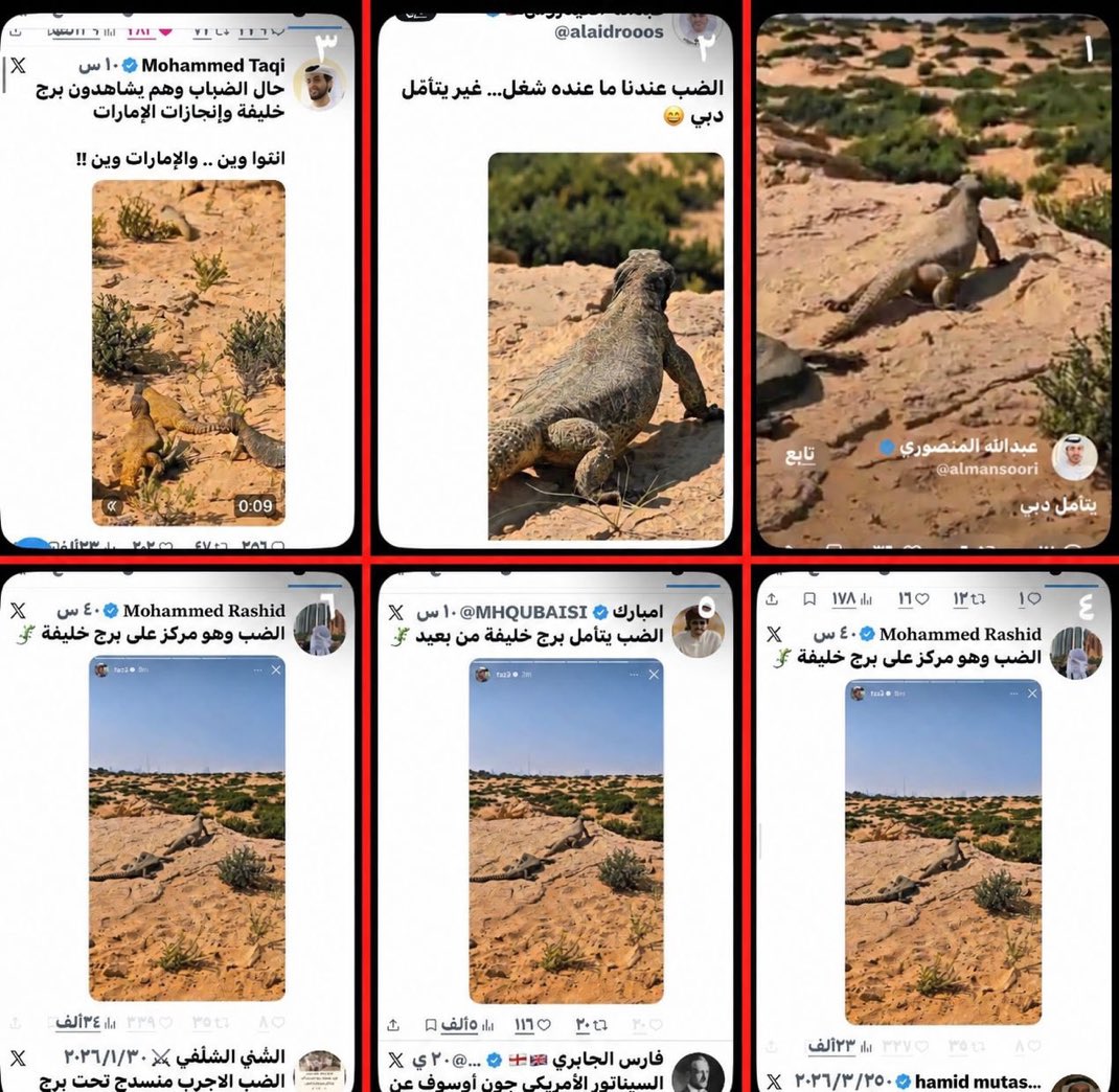 Badr tweet media