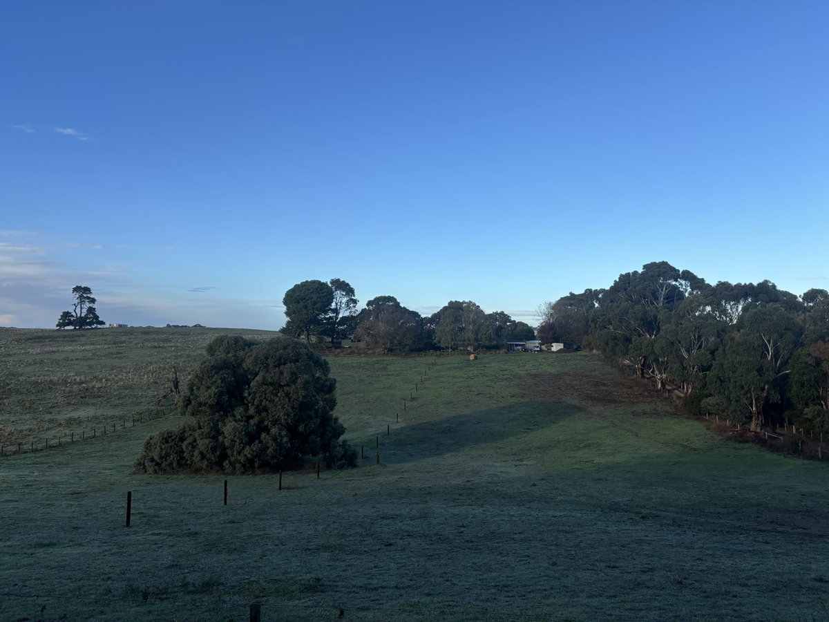SamirMadi01's tweet image. Morning walk. 🚶‍♂️

#keepmoving #calm #country #MtGambia