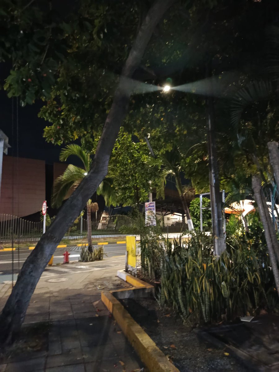 SCiosc's tweet image. Alerta en Alcázares Etapa 3 #Cali
Carrera 1 con 70 A. Luminarias dañadas desde hace meses, árbol en riesgo sin poda y cableado expuesto 

Peligro real para la comunidad Intervención inmediata

@AlcaldiaDeCali @InfraestructuraCali @DagmaOficial
@UaespCali @EMCALIoficial
#Urgente