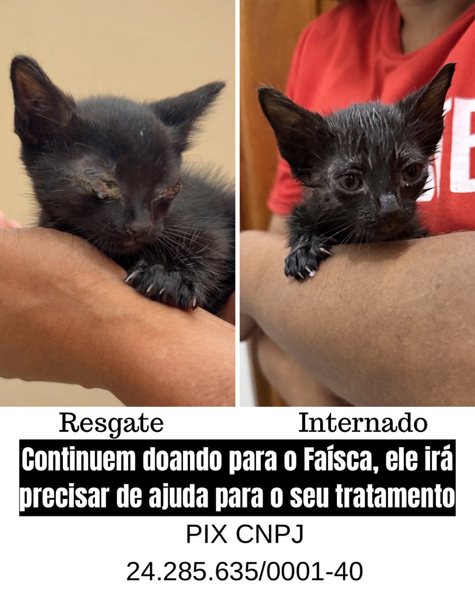 Debora Lopes tweet media