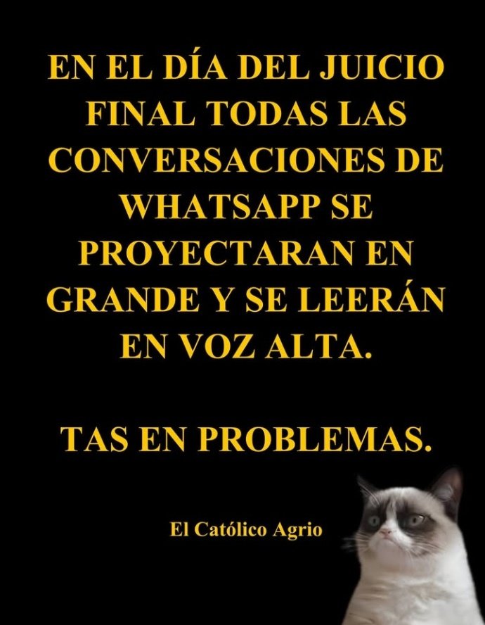 Sol tweet media