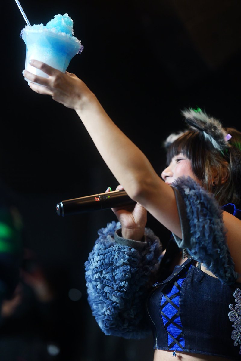 白犬 tweet media