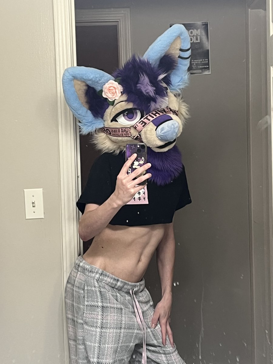 Shy !! :3 🔜 FWA, AC tweet media